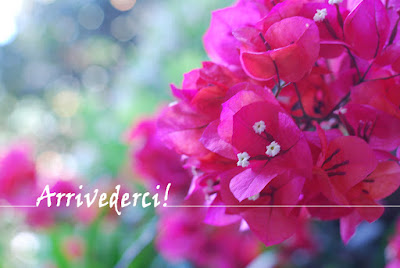 Arrivederci!