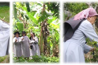 Tree-Planting Activity