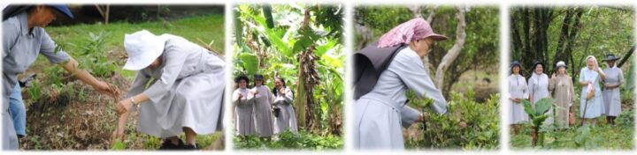 Tree-Planting Activity