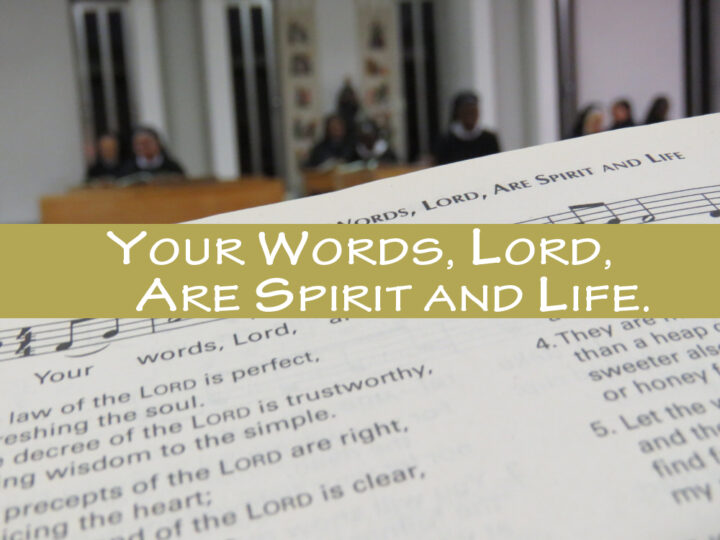YOUR WORDS, LORD,