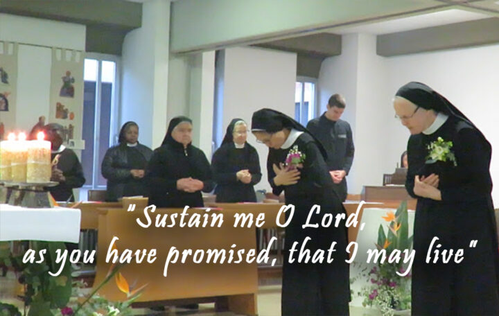 Sustain me O Lord, as you have promised, that I may live