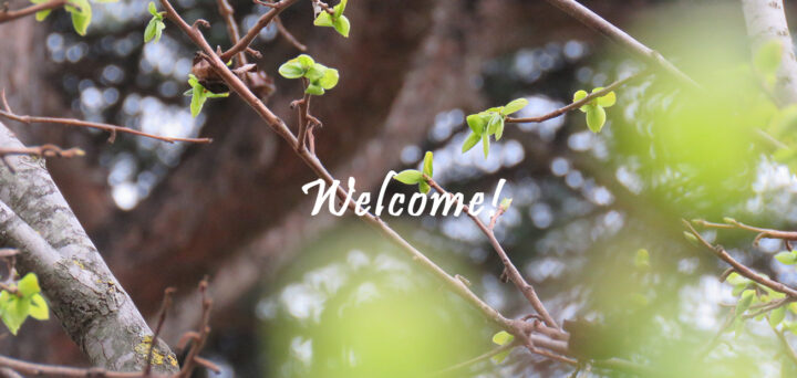 welcome 5