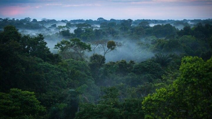 Earth Day 2022
