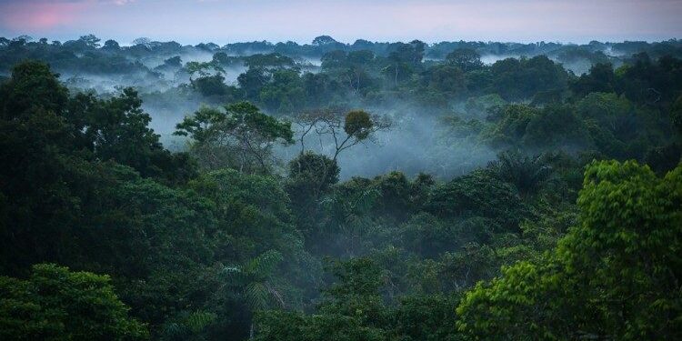 Earth Day 2022
