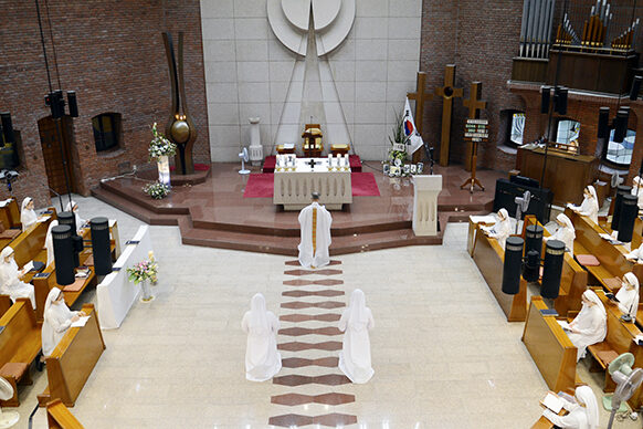 First Profession in Daegu (2)