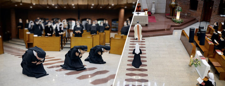 First and Final Profession in Daegu