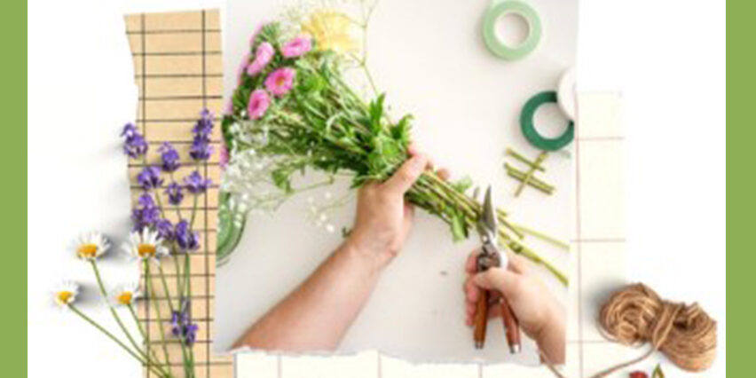 On-Going Formation News 3