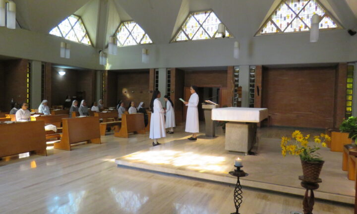 New Members in the Casa Community (1)