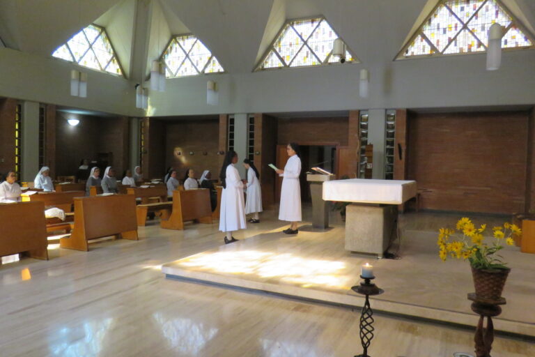 New Members in the Casa Community (1)