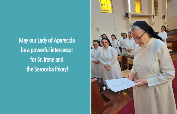 May our Lady of Aparecida be a powerful intercessor