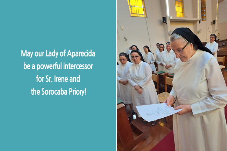 May our Lady of Aparecida be a powerful intercessor