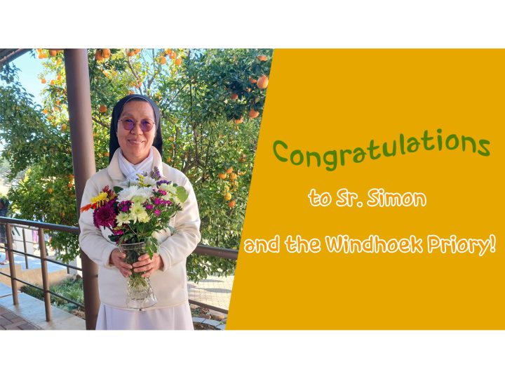 Sr. Simon Lee re-elected as Prioress of Windhoek